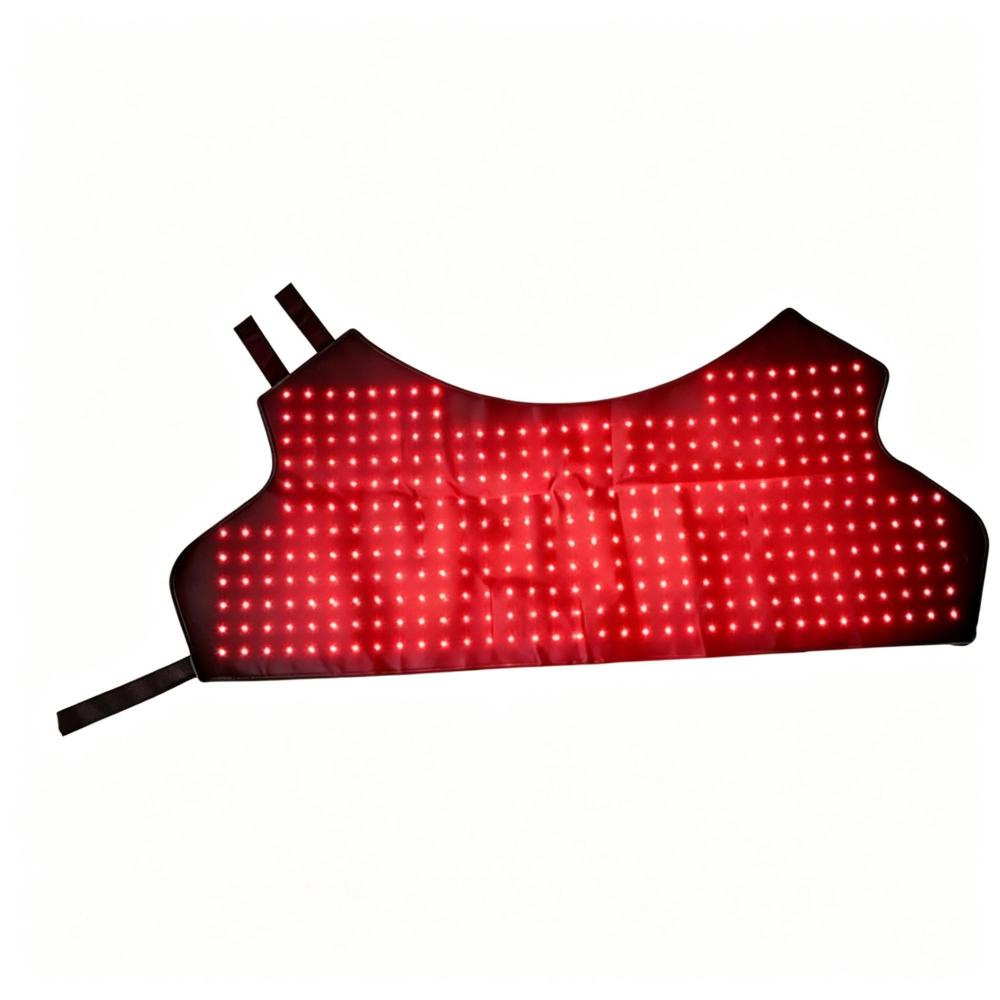 Equine Red Light Therapy - Image 5
