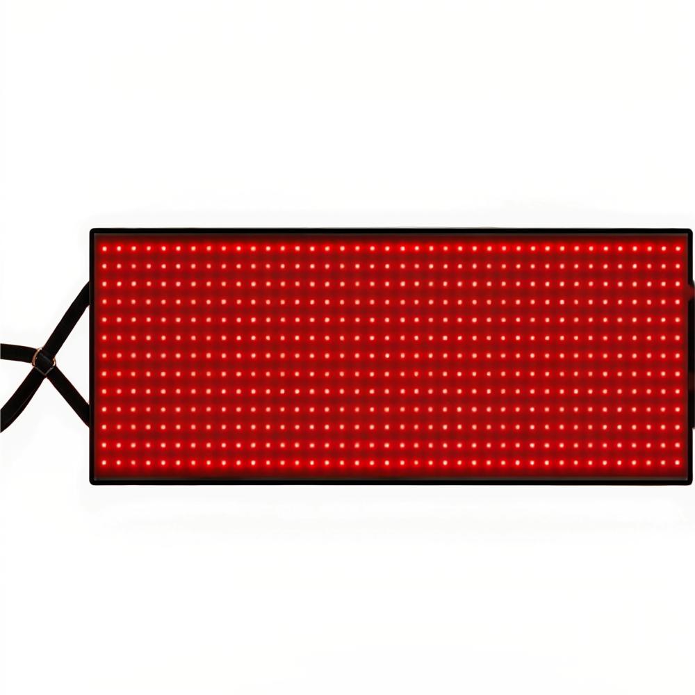 Equine Red Light Therapy - Image 7