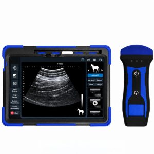 Wireless Veterinary Ultrasound with Color Doppler for Cattle and Horses